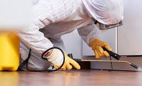 Best Pest Prevention Services  in Beechwood, MI